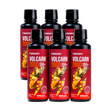 Load image into Gallery viewer, 6 Bottles of Volcarn 2000