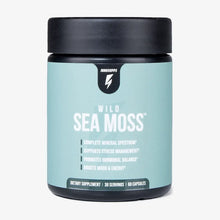 ギャラリービューアに画像をロードします、Special Gift Offer